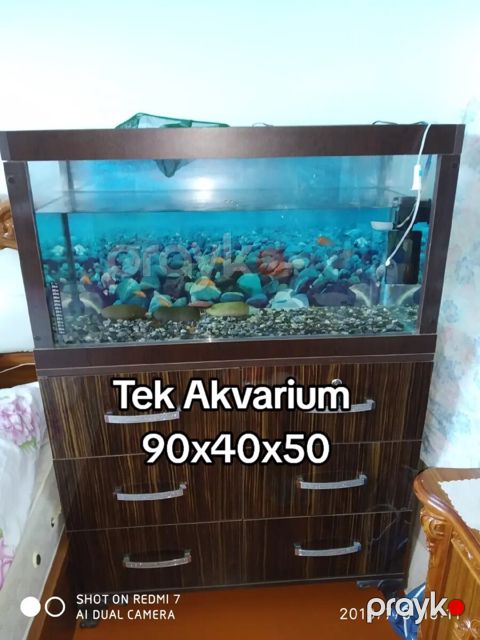 Akvarium 90x40x50 ölçüsü — Sumqayıt