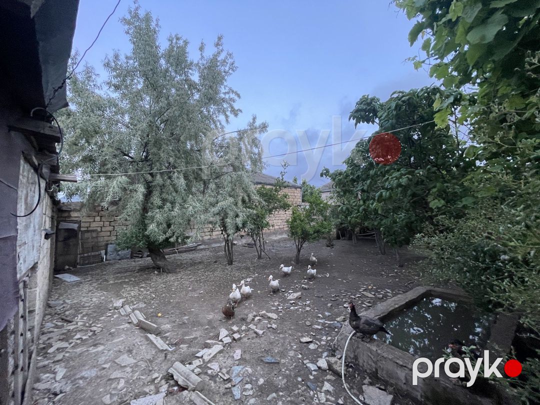 Satılır 4 otaqlı həyət evi/bağ evi 135 m² — Ev, villa, Bakı (5)