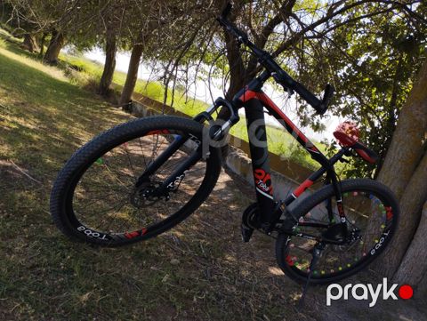 994/504365257 — Salyan