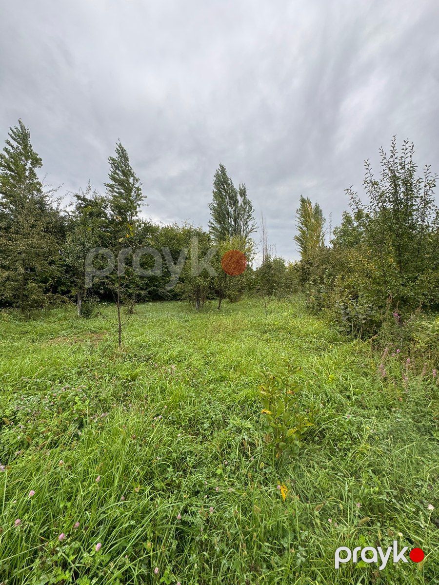 12 sot torpaq sahəsi, Qusar r — Torpaq, Qusar (7)