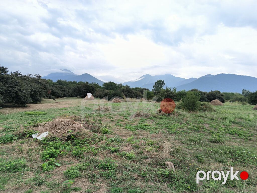 250 sot, Biznes üçün, Mülkiyyətçi, Kupça (Çıxarış) — Torpaq, Qəbələ (9)