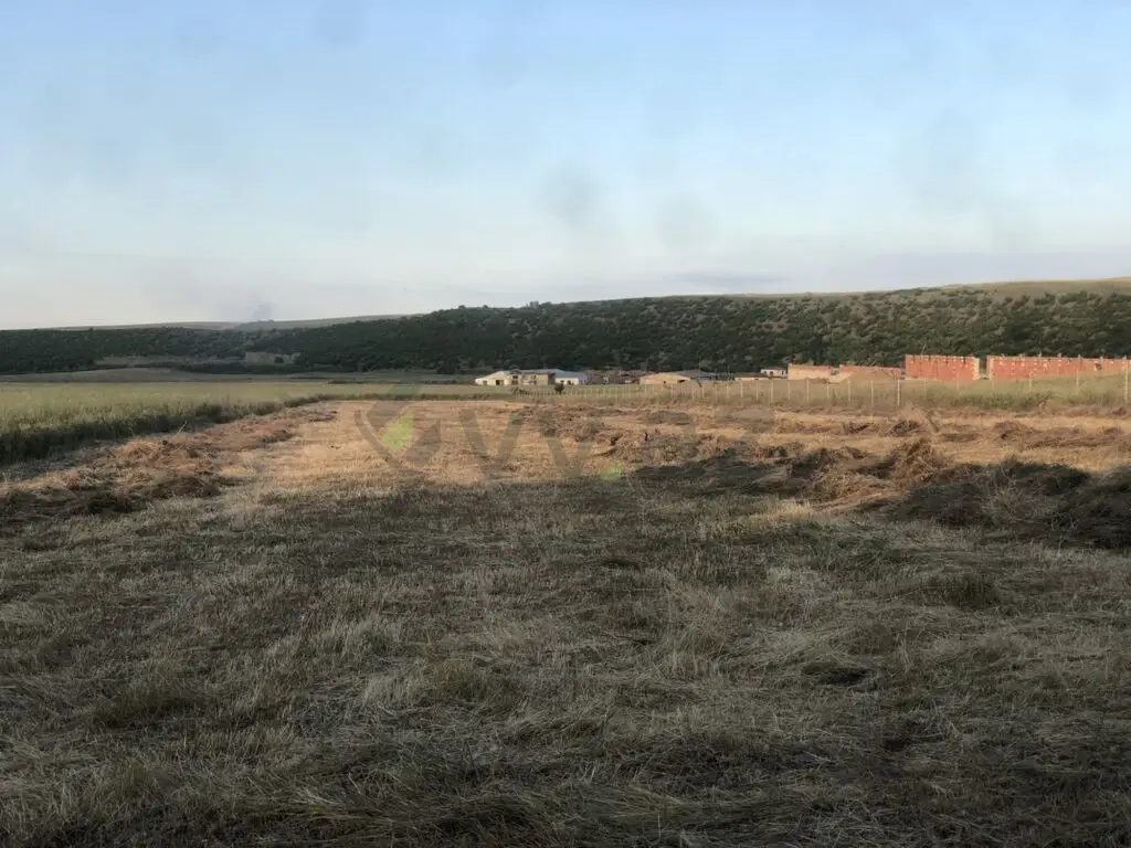 82 sot Torpaq Satılır, Qusar — Torpaq, Qusar (3)