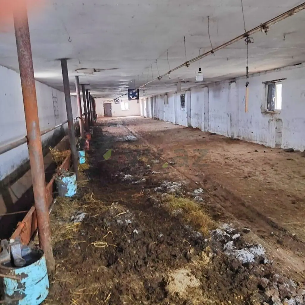 80 sot Torpaq Satılır, Ağsu — Torpaq, Ağsu (10)