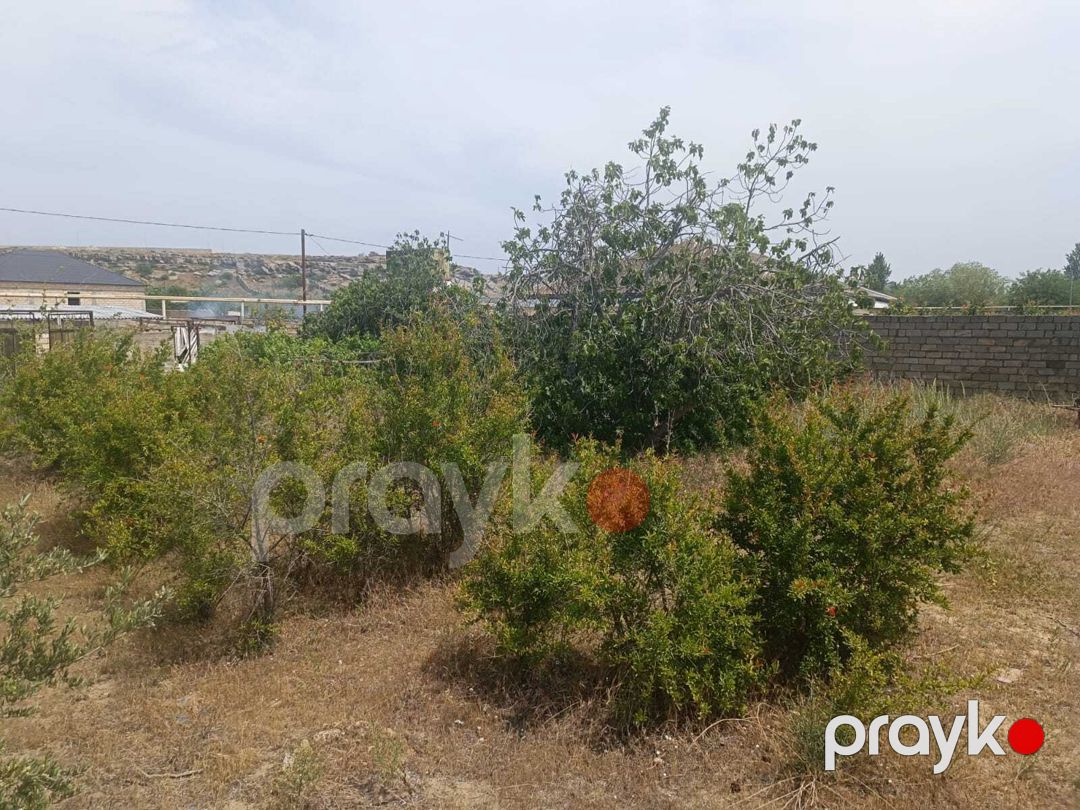 Satılır torpaq 12 sot — Torpaq, Bakı (12)