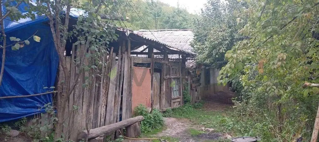 3 otaqlı Həyət evi Satılır, Quba — Ev, villa, Quba (3)
