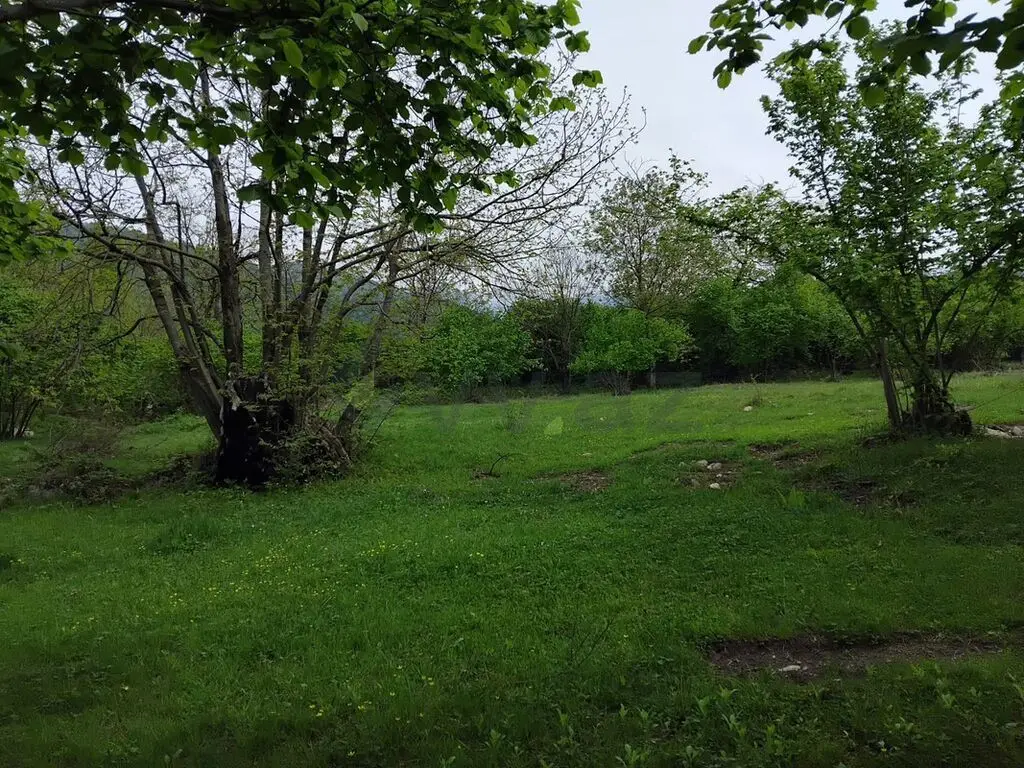 61 sot Torpaq Satılır, Oğuz — Torpaq, Oğuz (2)