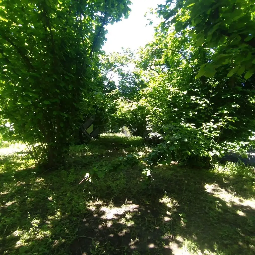 20 sot Torpaq Satılır, Oğuz — Torpaq, Oğuz (8)
