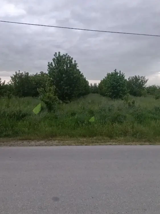 35 sot Torpaq Satılır, Xaçmaz — Torpaq, Xaçmaz (11)