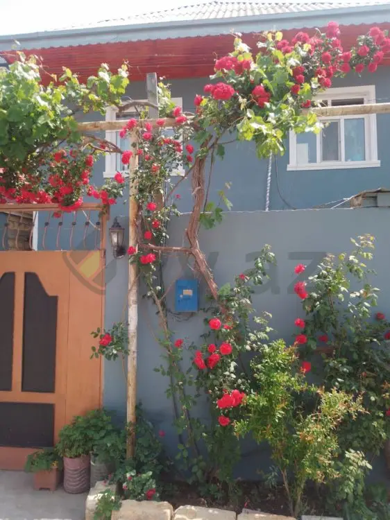 4 otaqlı Həyət evi Satılır, Masazır, Abşeron