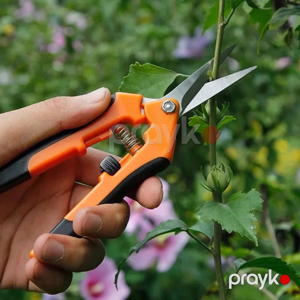 Bağban qayçısı YJ1043 ph190 İL-3975 — Mallar, Bakı (2)