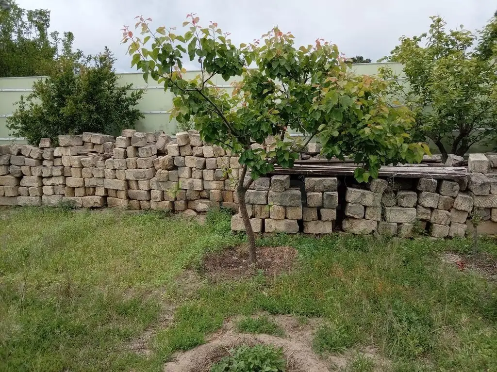 5 sot Torpaq Satılır, Novxanı, Abşeron — Torpaq (5)