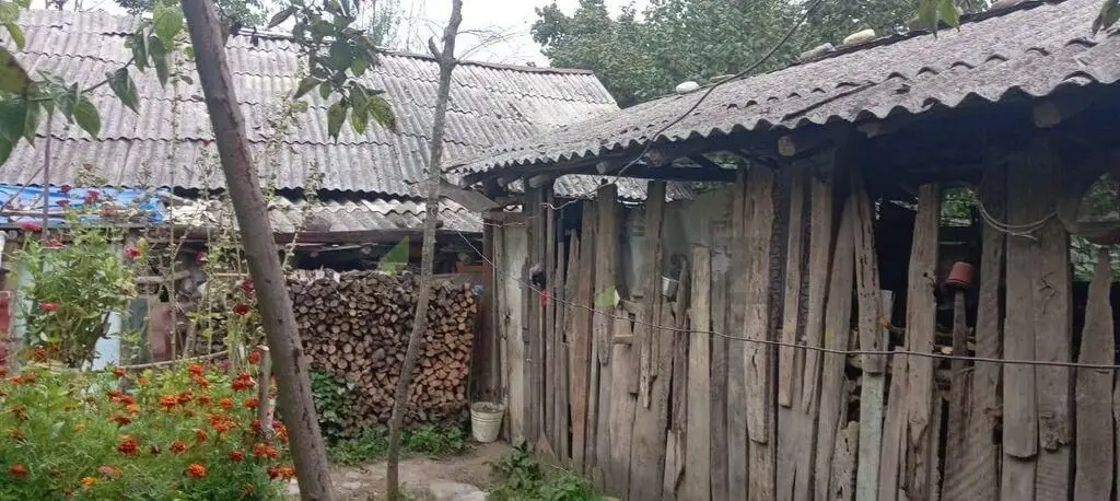 3 otaqlı Həyət evi Satılır, Quba — Ev, villa, Quba (10)