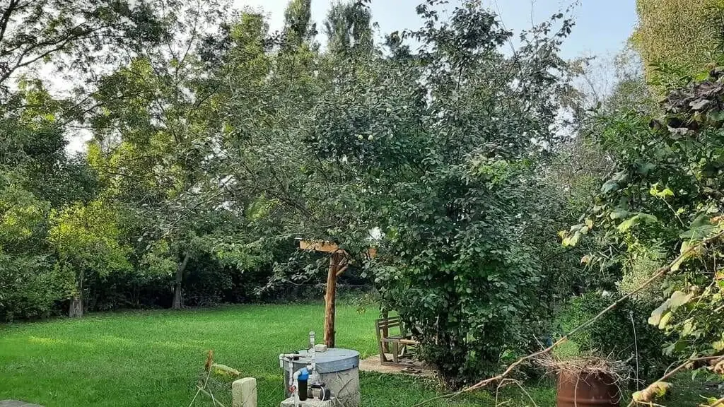 4 otaqlı Həyət evi Kirayə (günlük), Lənkəran — Ev, villa, Lənkəran (6)
