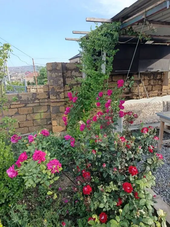 4 otaqlı Həyət evi Satılır, Qobu, Abşeron — Ev, villa (3)