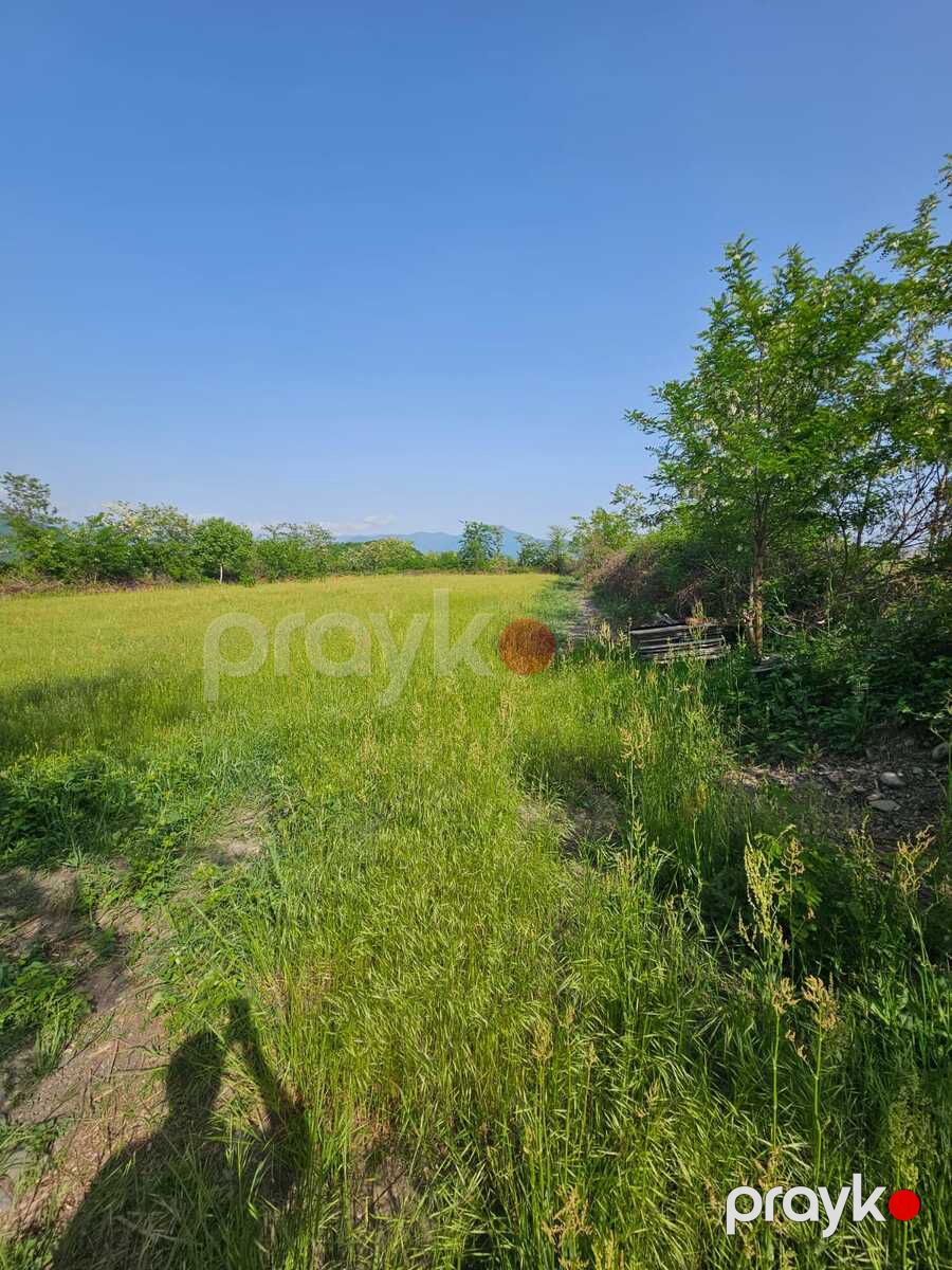 Satılır torpaq 25 sot — Torpaq, Zaqatala (3)
