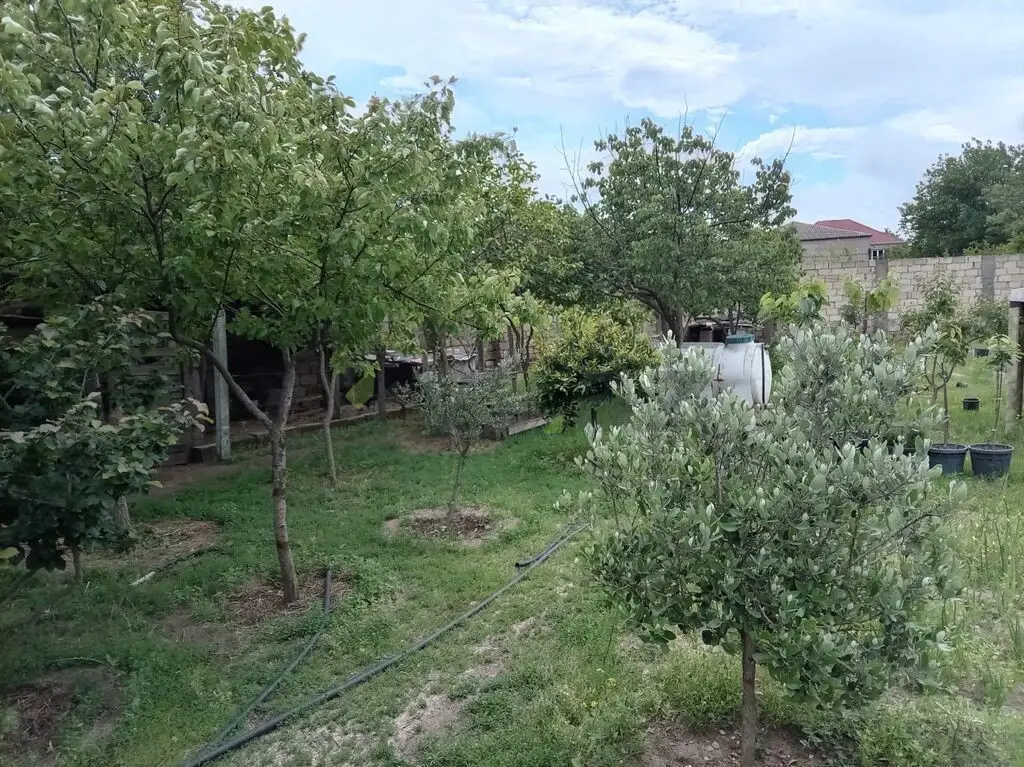 5 sot Torpaq Satılır, Novxanı, Abşeron — Torpaq (6)