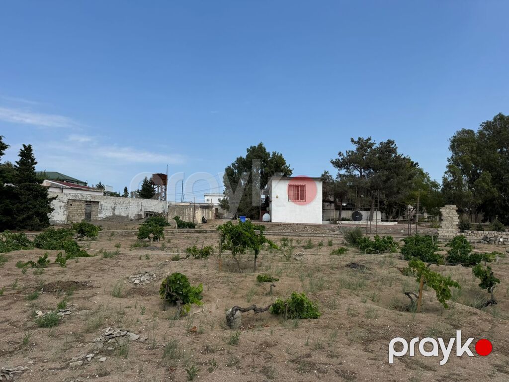 30 sot torpaq sahəsi, Şüvəlan qəs — Torpaq, Bakı (5)