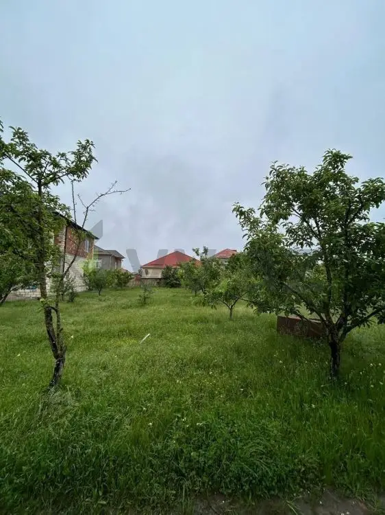 5 sot Torpaq Satılır, Qusar — Torpaq, Qusar (3)