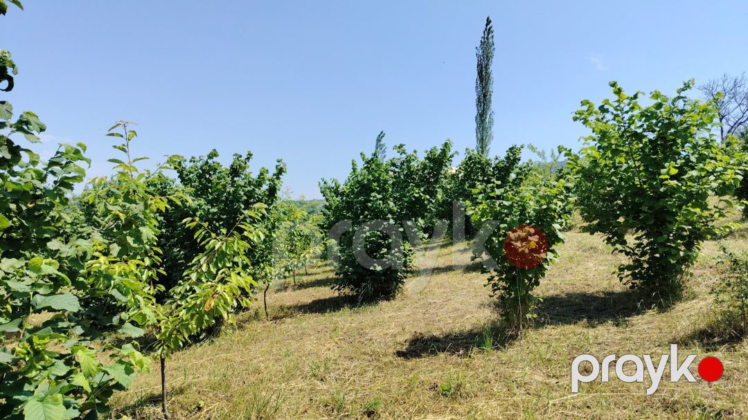 10 sot torpaq sahəsi, Quba r — Torpaq, Quba (5)