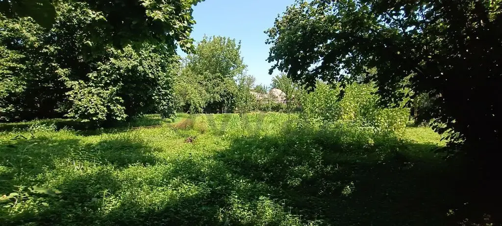 15 sot Torpaq Satılır, Qəbələ — Qəbələ