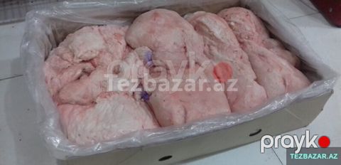 Quzu erkək quyruğu — Bakı