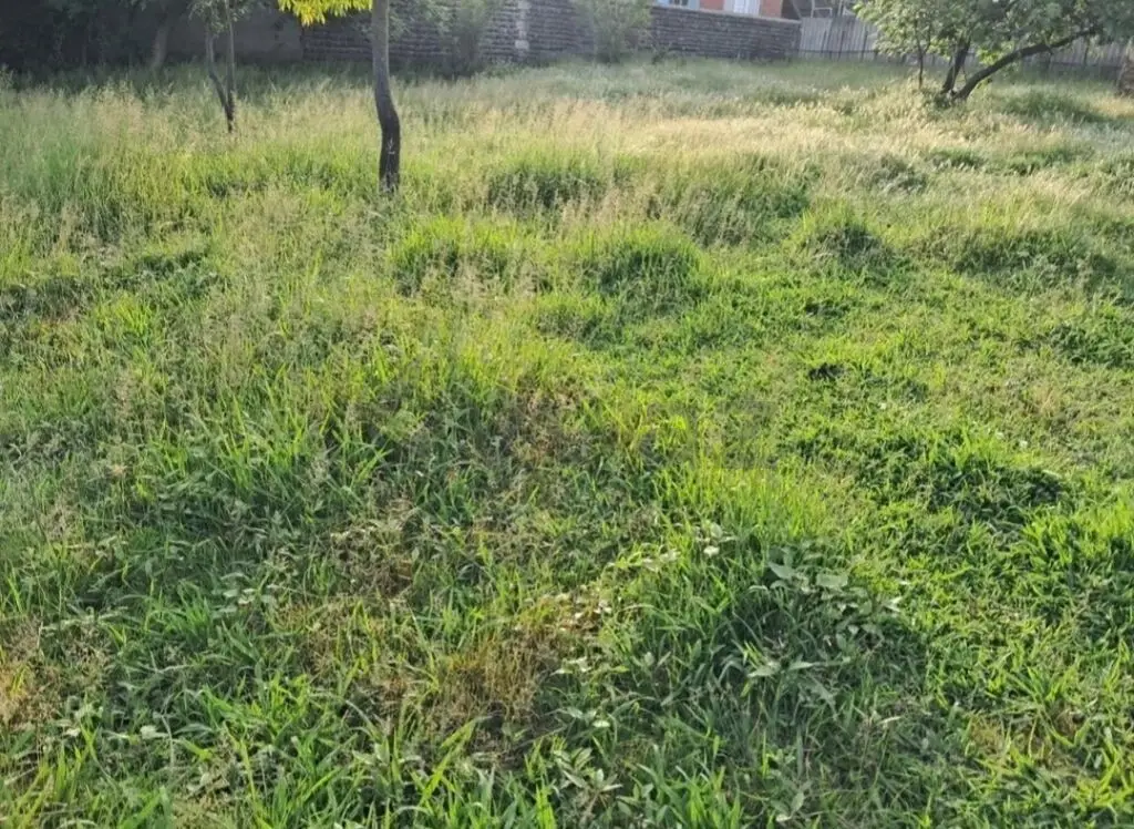 6 sot Torpaq Satılır, Lənkəran — Torpaq, Lənkəran (3)