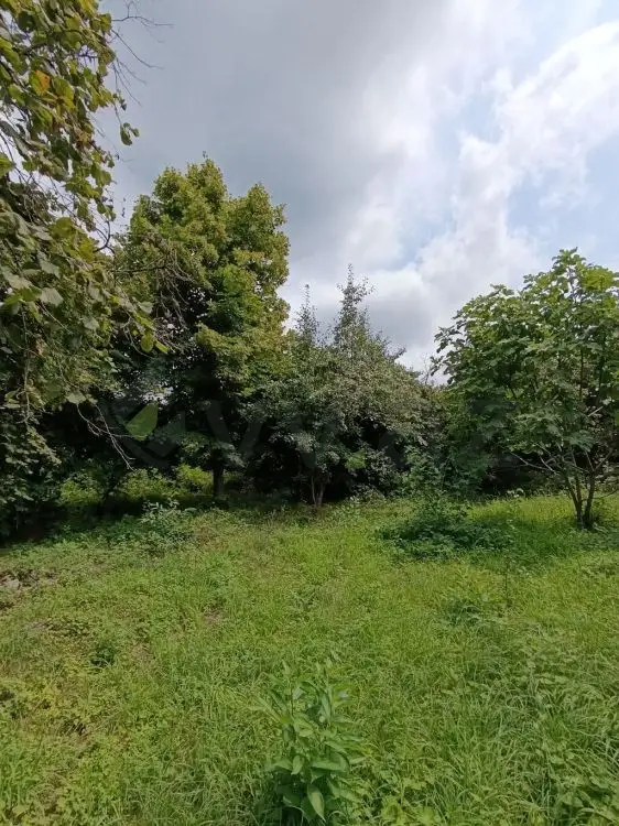 4 otaqlı Həyət evi Satılır, Şəki — Ev, villa, Şəki (9)