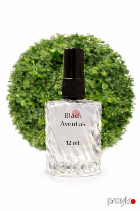 Tac Black Aventus kişilər üçün ətir suyu 12 ml — Bakı