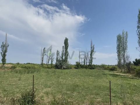 12 sot Torpaq Satılır, Şabran — Şabran