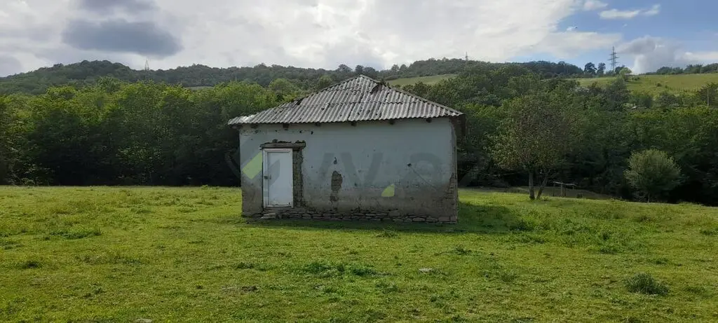 11 sot Torpaq Satılır, Quba — Torpaq, Quba (4)