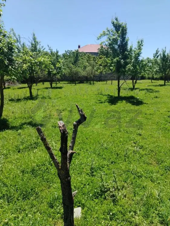 4 sot Torpaq Satılır, Quba — Torpaq, Quba (3)