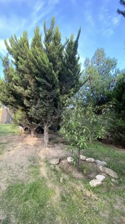 12 sot Torpaq Satılır, Albalı qəs., Sabunçu, Bakı — Torpaq, Bakı (7)
