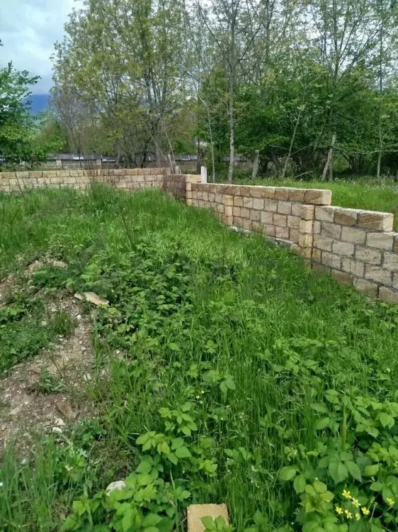 3 sot Torpaq Satılır, Qəbələ — Qəbələ