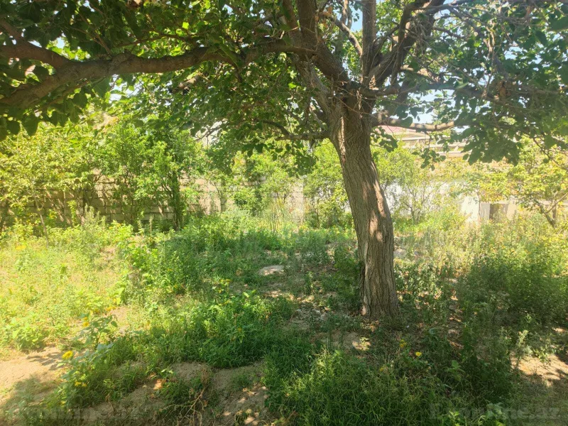 Satılır 4 otaqlı Həyət evi 200 m² Sumqayıt — Ev, villa, Sumqayıt (8)
