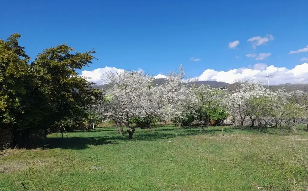 14 sot Torpaq Satılır, Zaqatala — Torpaq, Zaqatala (3)