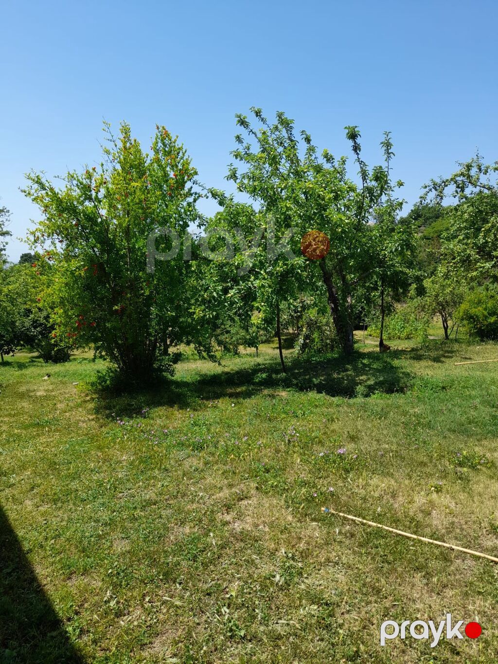 Kənd təsərrüfatı — Torpaq, Bakı (2)