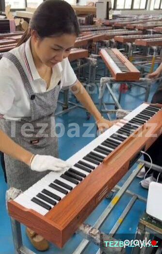 Elektro Pianino 88 klav — Musiqiə alətləri, Bakı (3)