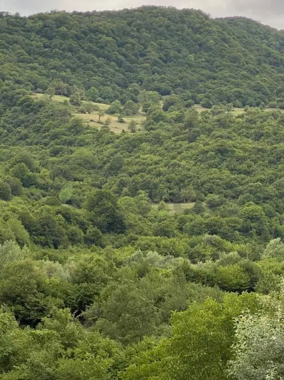 3 otaqlı Həyət evi Kirayə (günlük), Şamaxı — Ev, villa, Şamaxı (3)