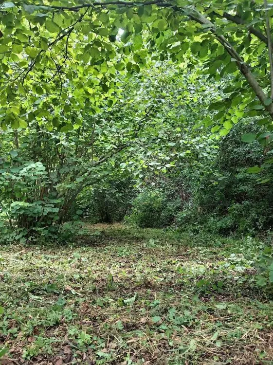 35 sot Torpaq Satılır, Oğuz — Torpaq, Oğuz (3)