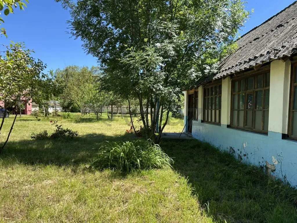 15 sot Torpaq Satılır, Qəbələ — Torpaq, Qəbələ (3)