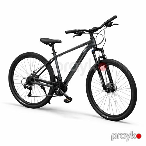 Şəhər velosipedi Goose JB_A007, 29", gümüşü — Bakı
