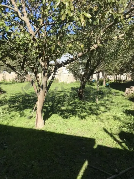4 otaqlı Həyət evi Satılır, Qusar — Ev, villa, Qusar (5)