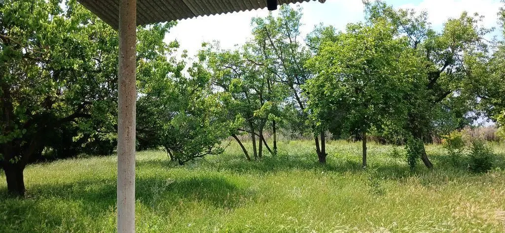 3 otaqlı Həyət evi Satılır, Ucar — Ev, villa, Ucar (11)
