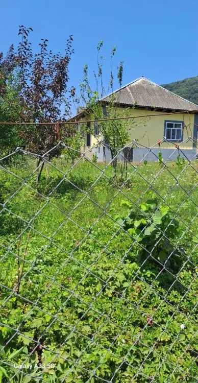 3 otaqlı Həyət evi Kirayə (günlük), Lerik — Ev, villa, Lerik (3)