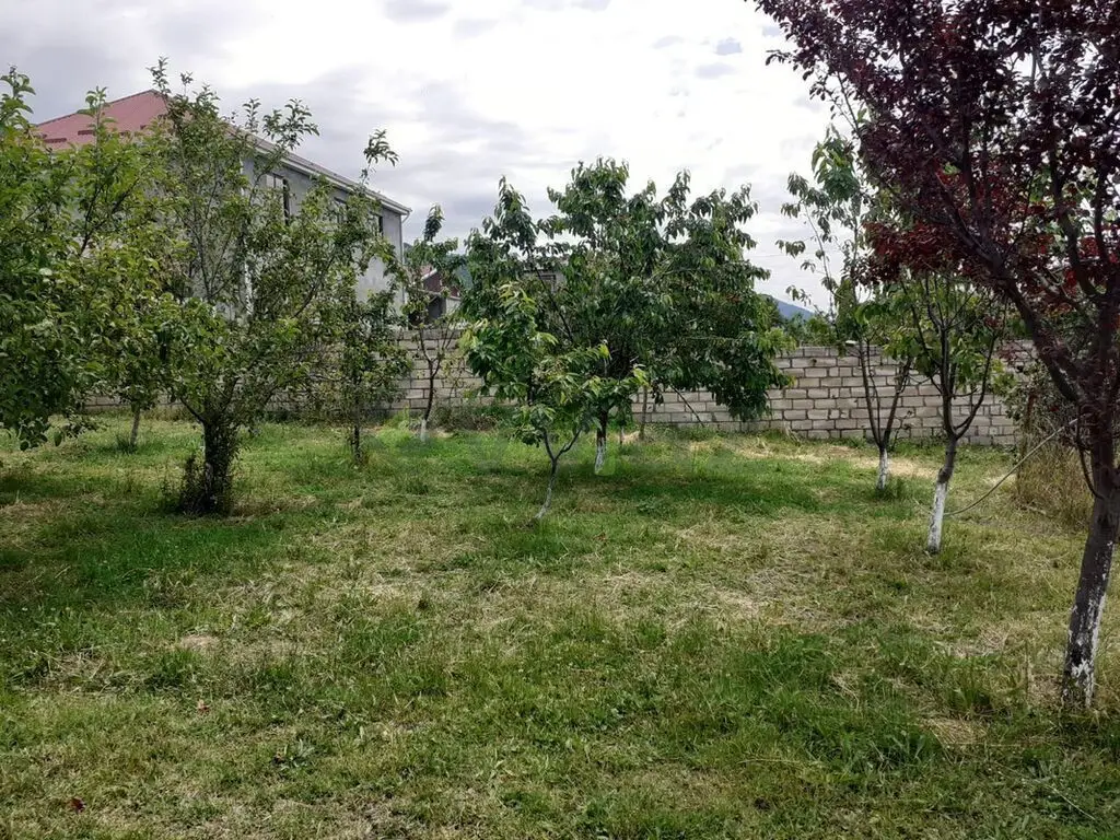 6 sot Torpaq Satılır, Oğuz — Torpaq, Oğuz (6)