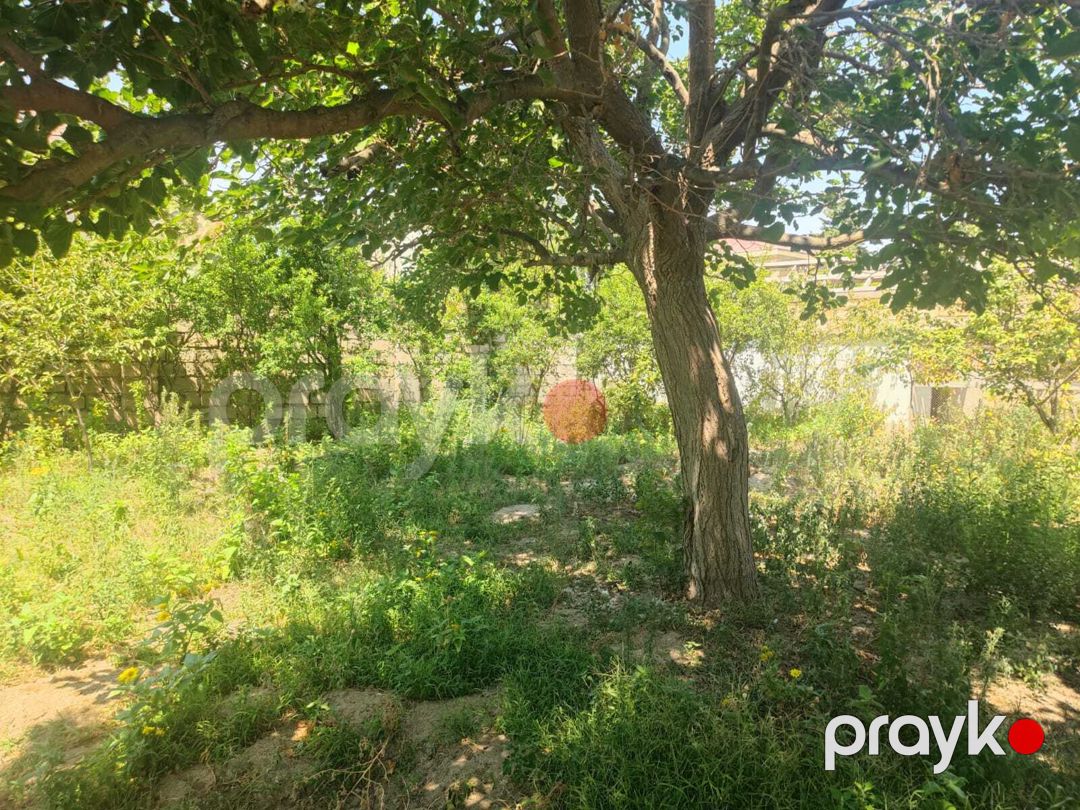 Satılır 4 otaqlı həyət evi/bağ evi 200 m² — Ev, villa, Sumqayıt (8)