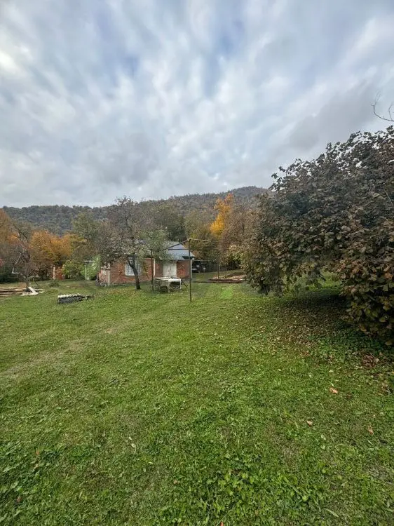 10 sot Torpaq Satılır, Zaqatala — Torpaq, Zaqatala (2)