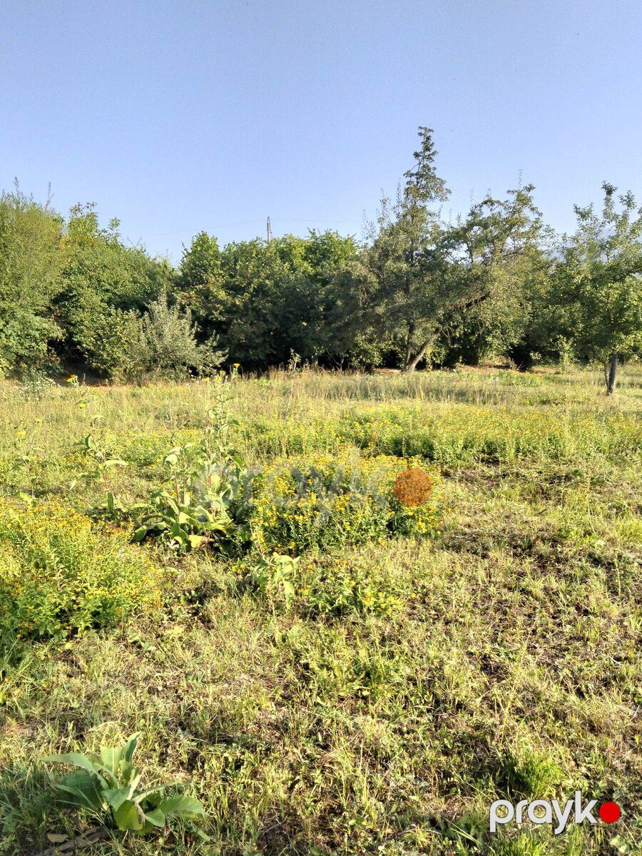 50 sot torpaq sahəsi, Həzrə k — Torpaq, Qəbələ (10)