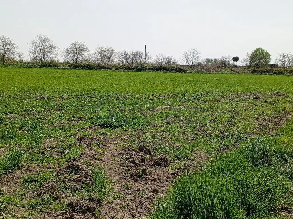187 sot Torpaq Satılır, Xaçmaz — Torpaq, Xaçmaz (3)
