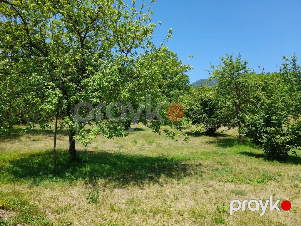 Kənd təsərrüfatı — Torpaq, Bakı (10)